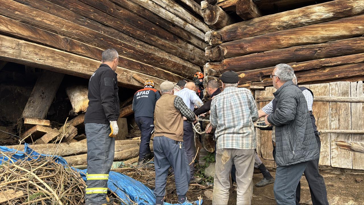 Kastamonu’da çöken ahırın enkazı altında kalan kadın öldü